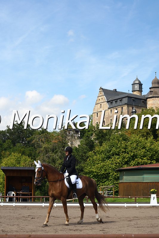 009M2531_Teddy Co_Dressur E.JPG